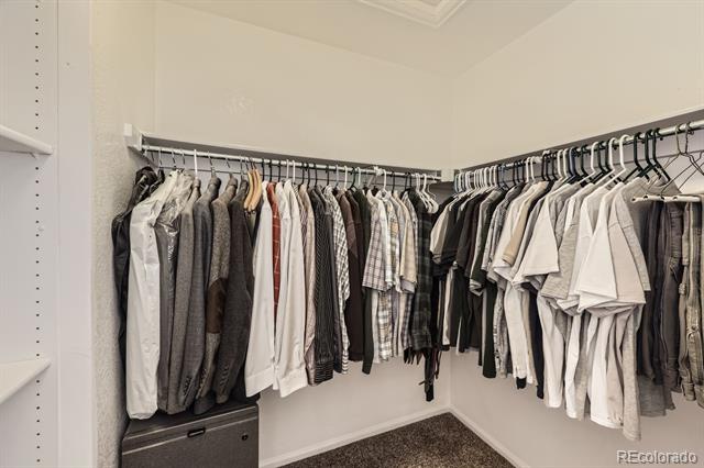 Walk-in closet with clothes hanging along two walls and carpeted flooring.