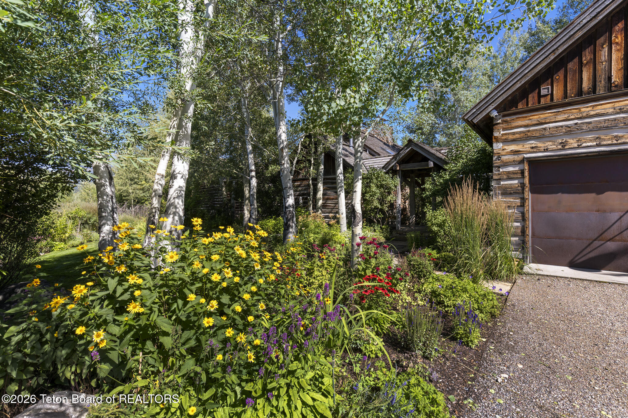 Rustic wood-sided home and garage framed by flowering garden beds and white-barked trees.