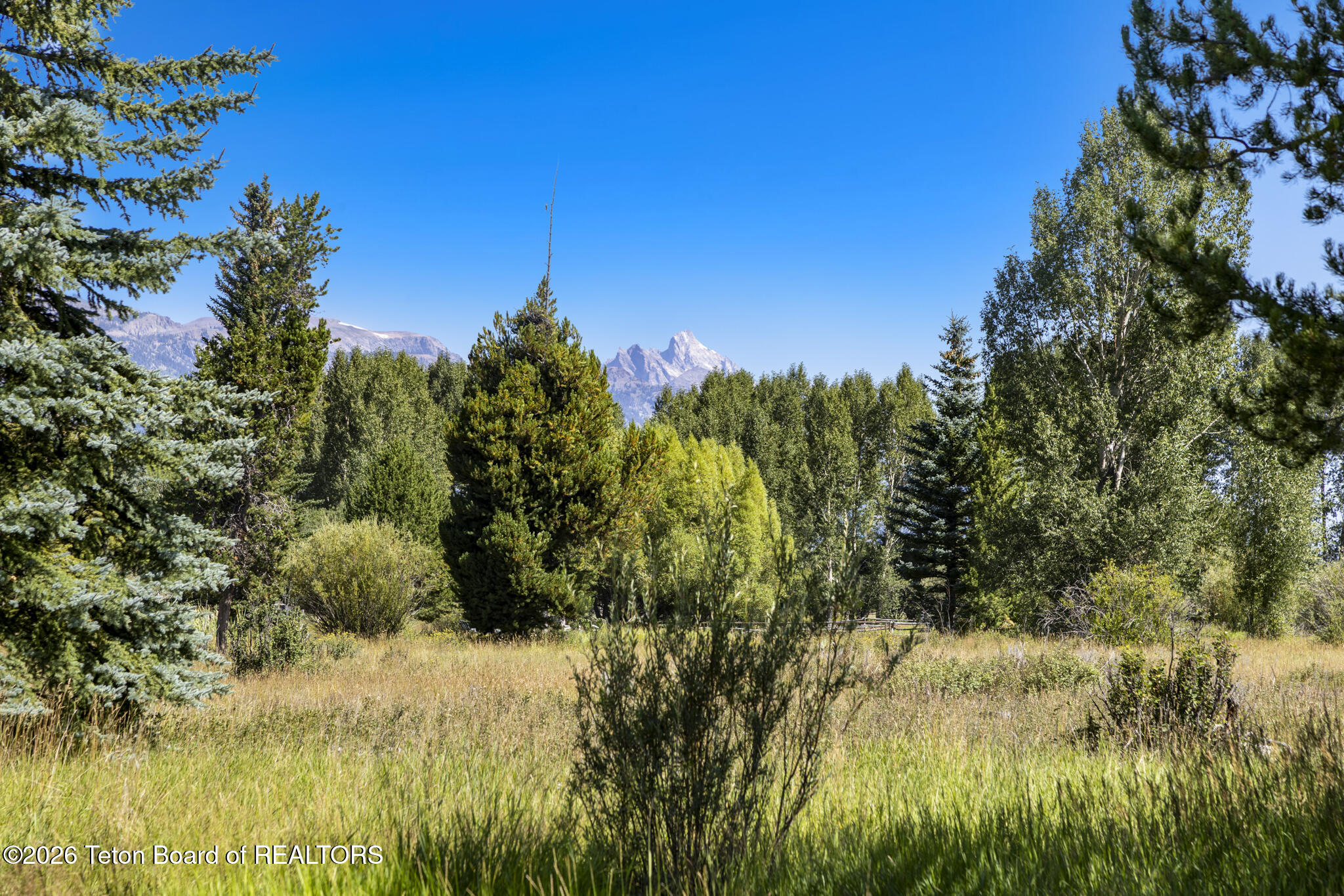 Grassy property framed by trees, with distant jagged mountain peaks under a clear blue sky.