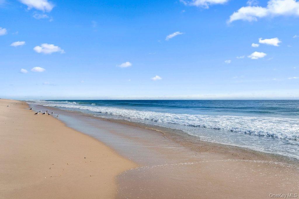 39 Kimberly Drive Unit: 39