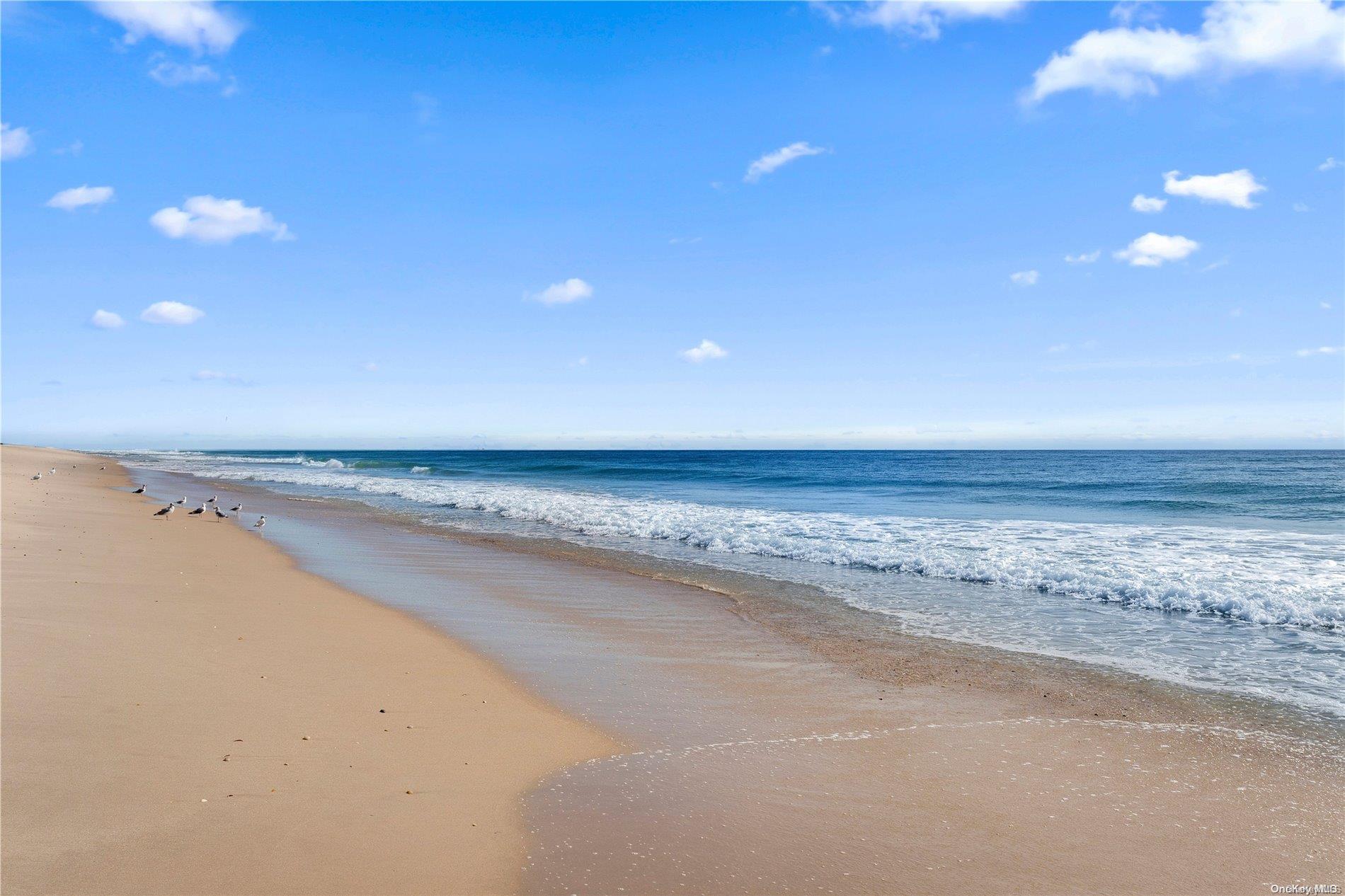 157 Dune Road