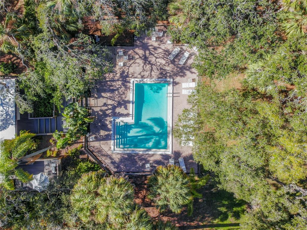 2708 ORCHID OAKS DRIVE Unit: 203DAP