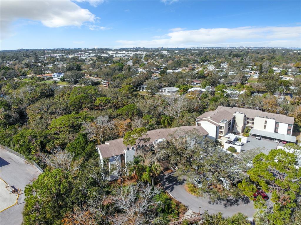2708 ORCHID OAKS DRIVE Unit: 203DAP