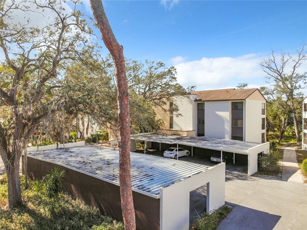 2708 ORCHID OAKS DRIVE Unit: 203DAP
