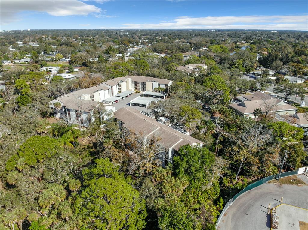 2708 ORCHID OAKS DRIVE Unit: 203DAP