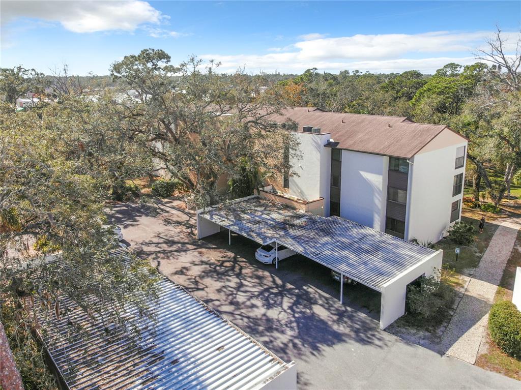 2708 ORCHID OAKS DRIVE Unit: 203DAP