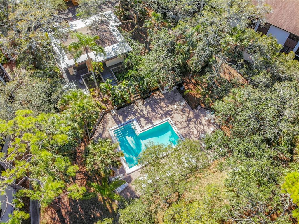 2708 ORCHID OAKS DRIVE Unit: 203DAP