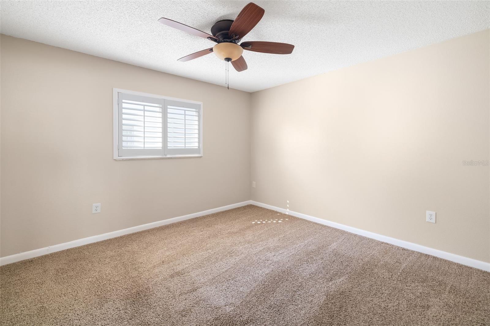5814 GARDEN LAKES FERN