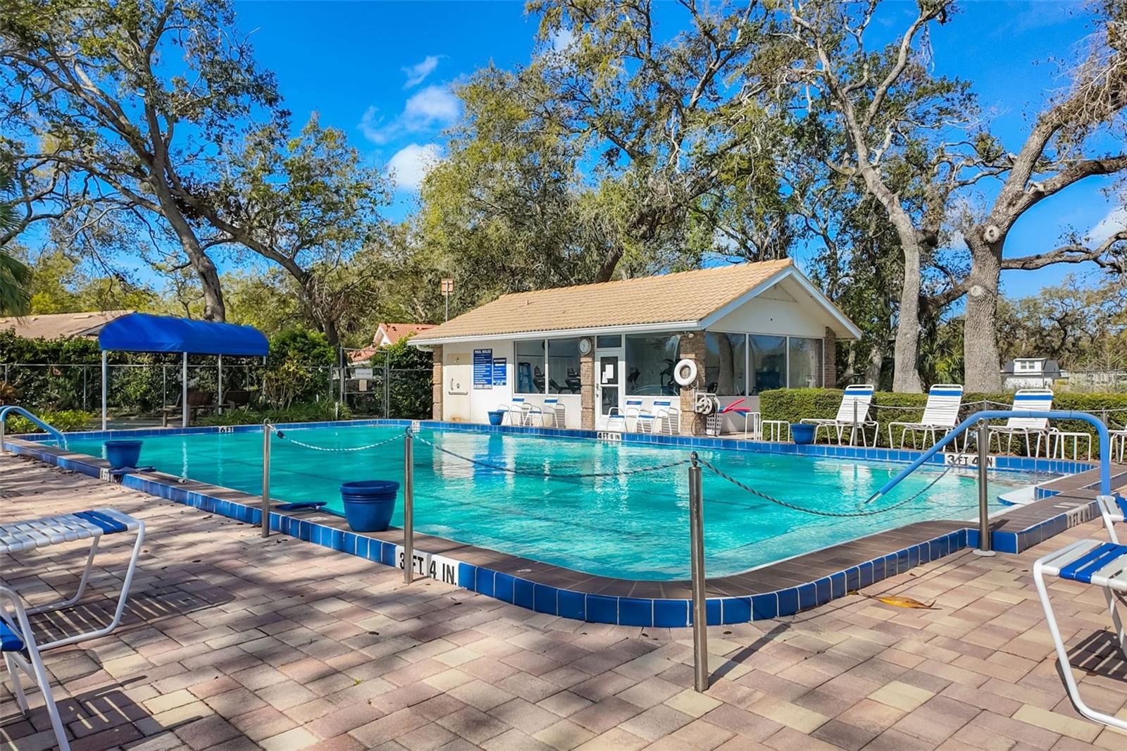 5814 GARDEN LAKES FERN