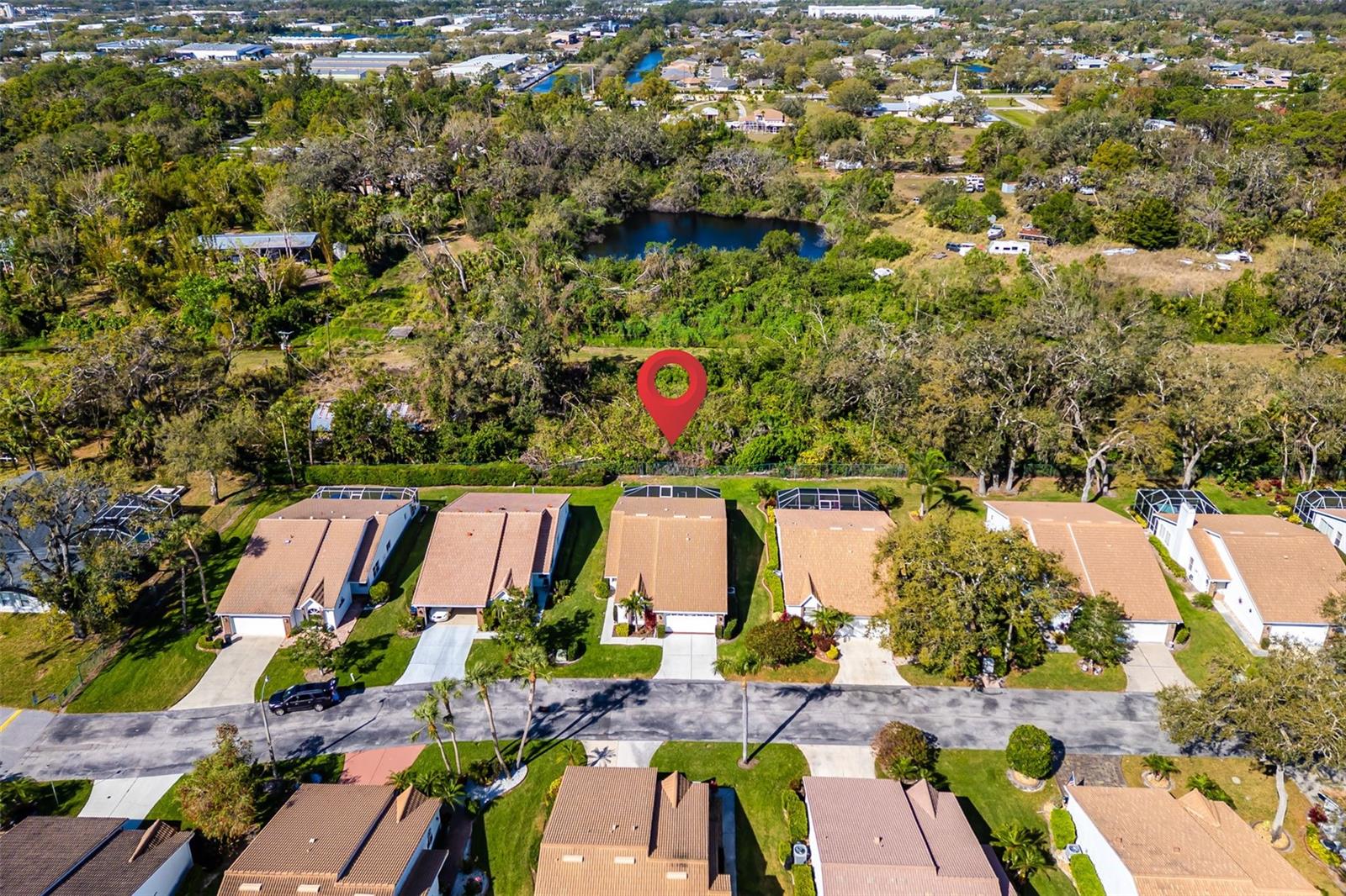 5814 GARDEN LAKES FERN
