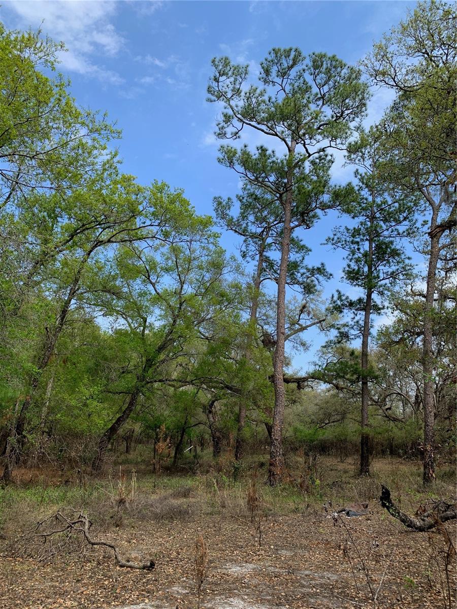33074 RANCH RD