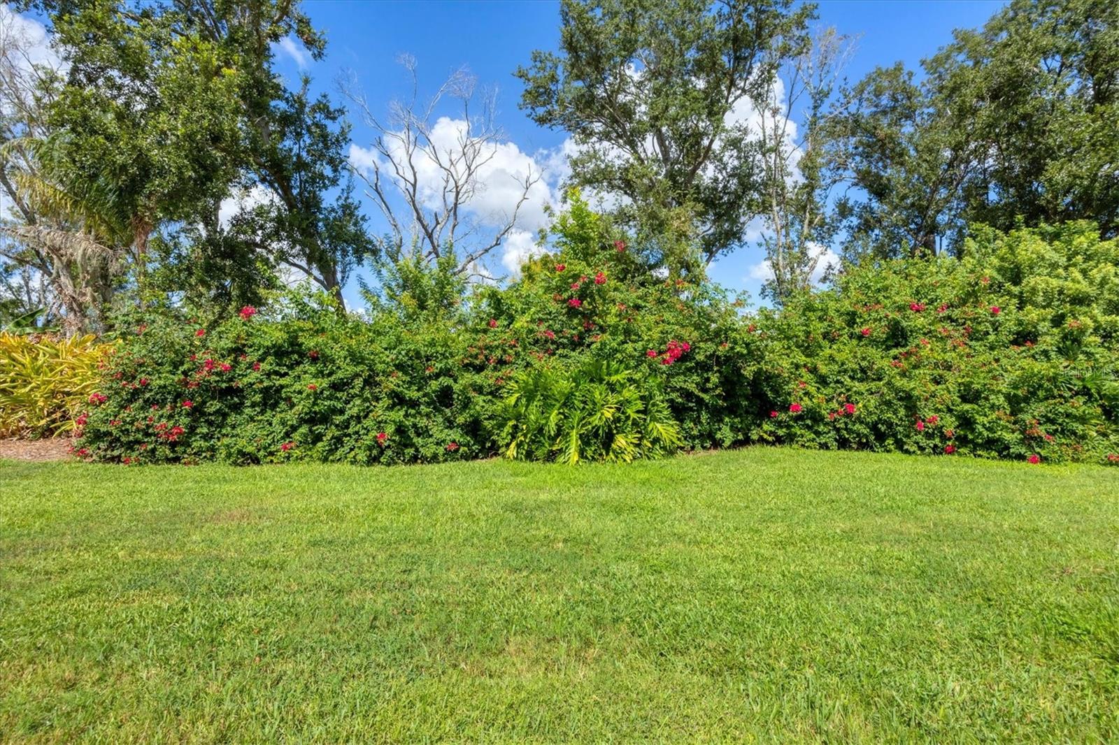 4260 MACKAY FALLS TER