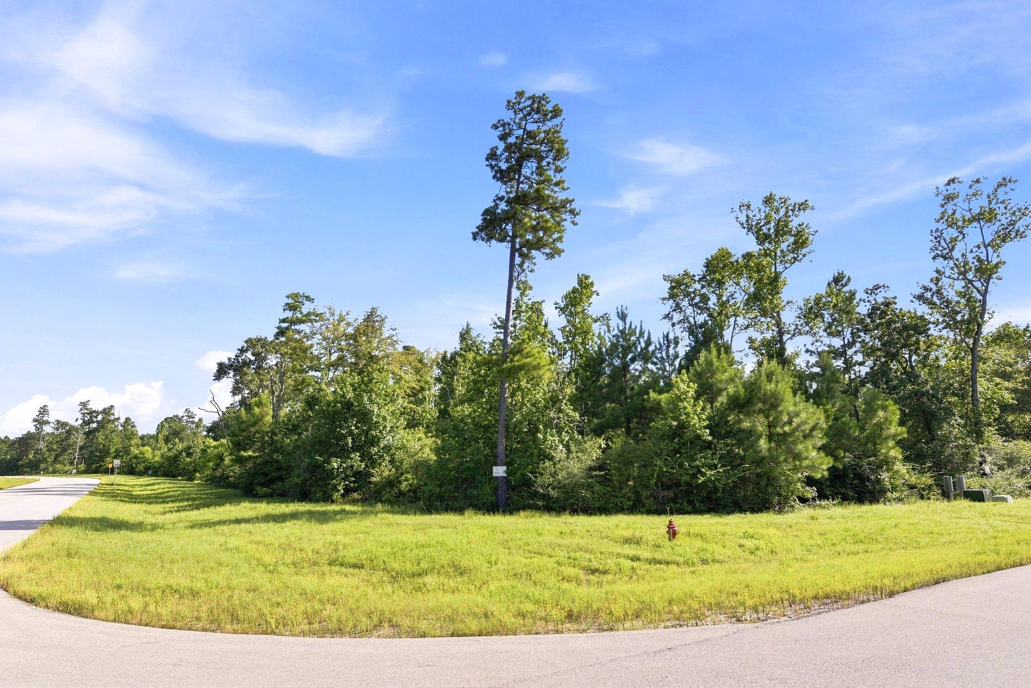 300 Iron Horse Road