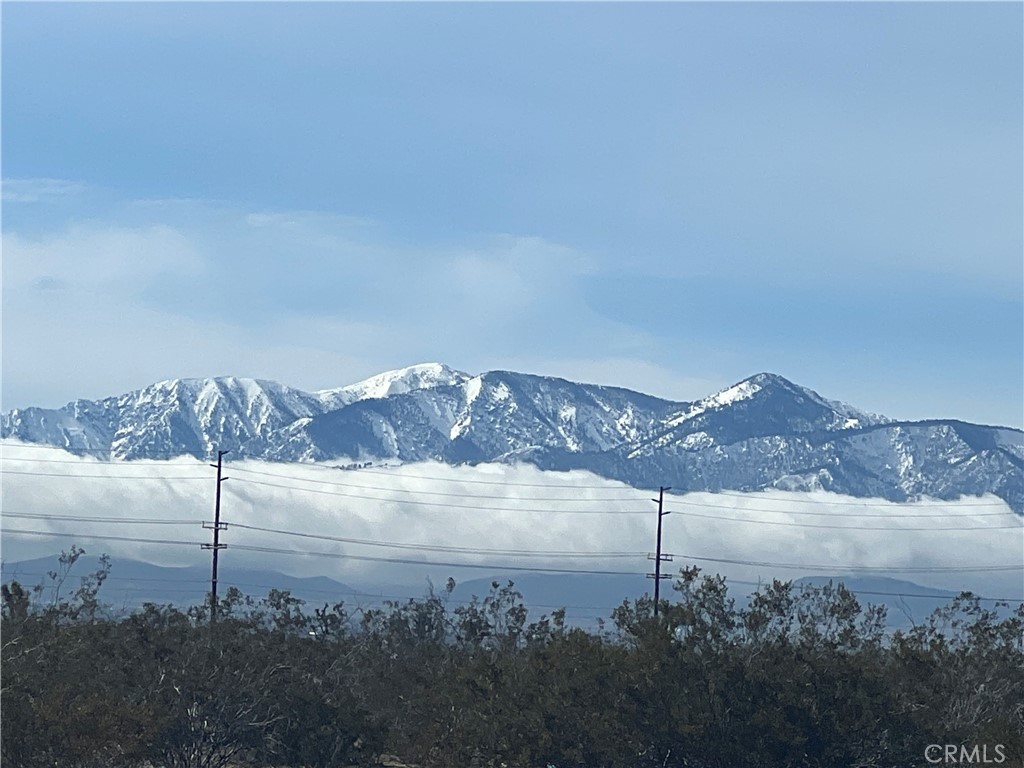 11812 Begonia Avenue