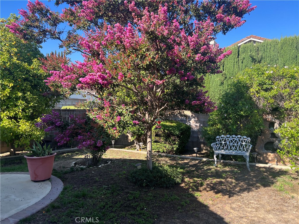 2248 Tulip Avenue