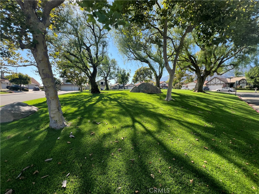2248 Tulip Avenue