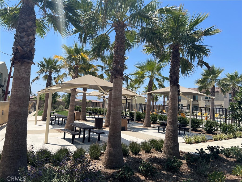 4402 S Clifton Avenue 91