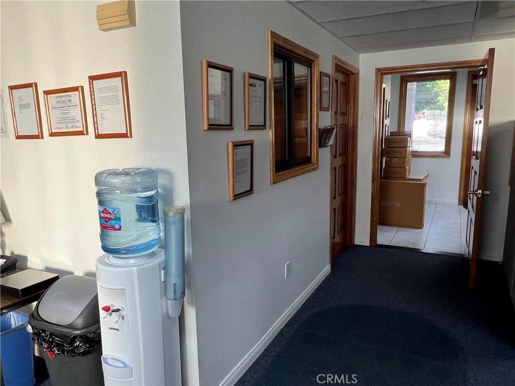102 Olinda Drive
