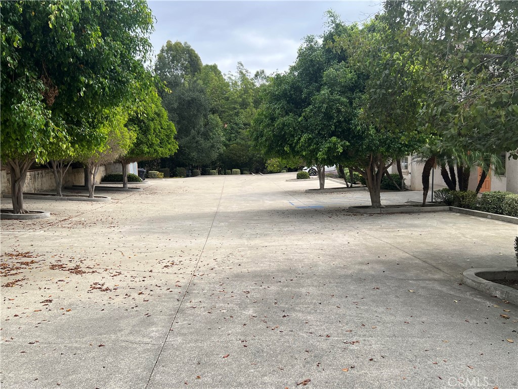 102 Olinda Drive
