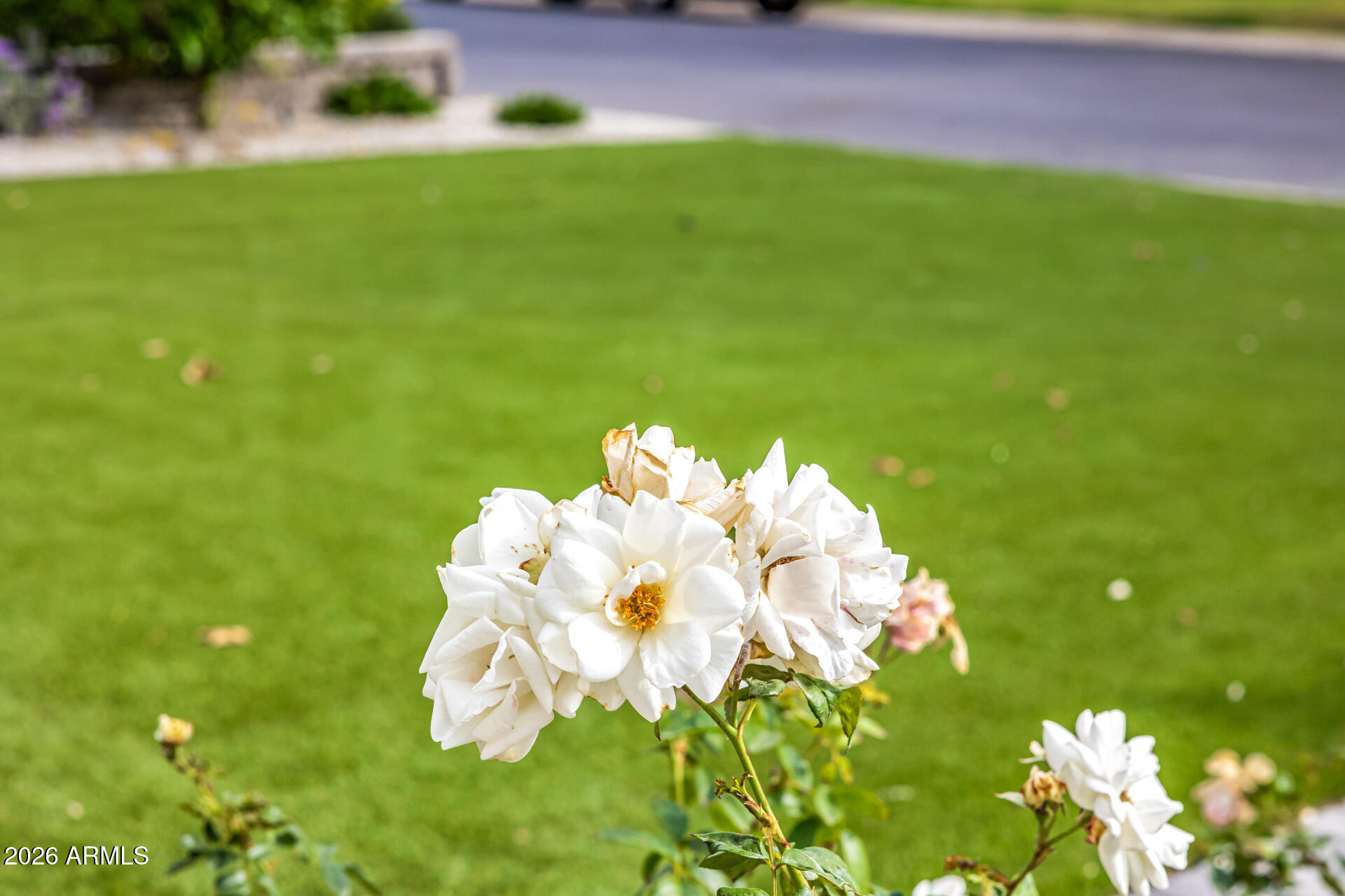 4010 E COOLIDGE Street