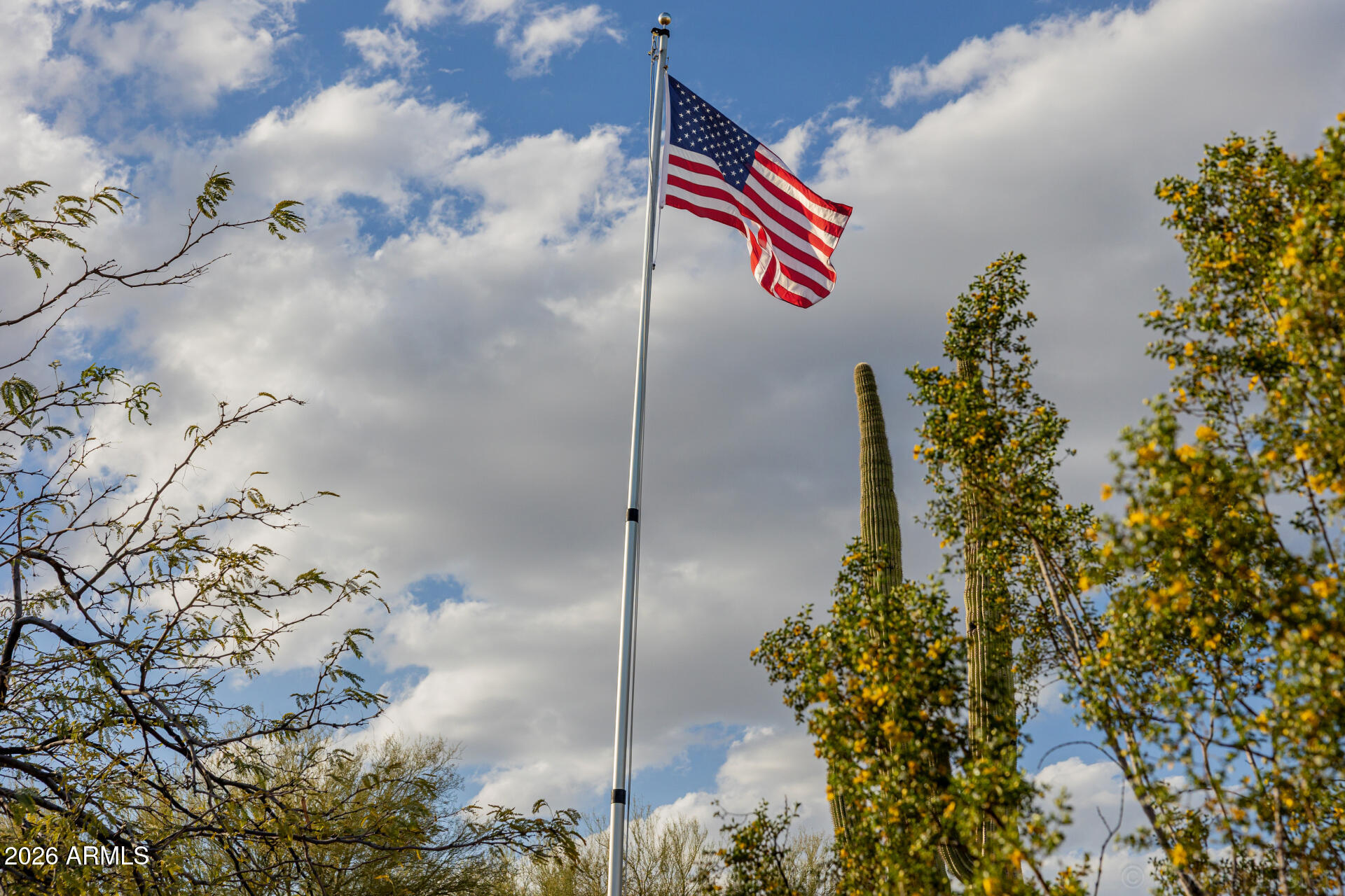 32633 N 137TH Street