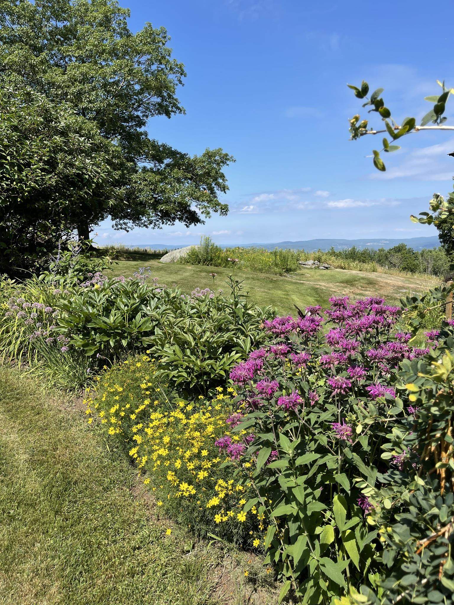 5 Saddle Run Road