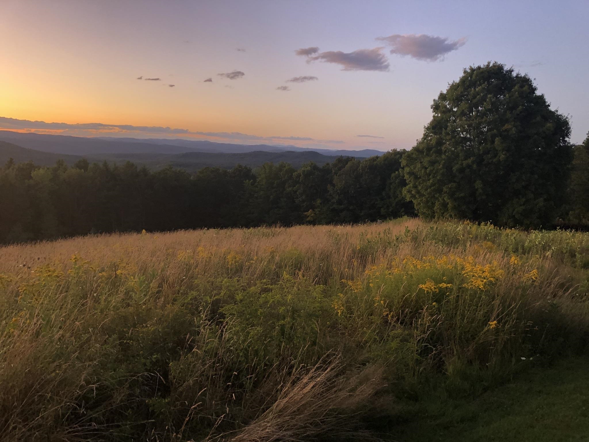 5 Saddle Run Road