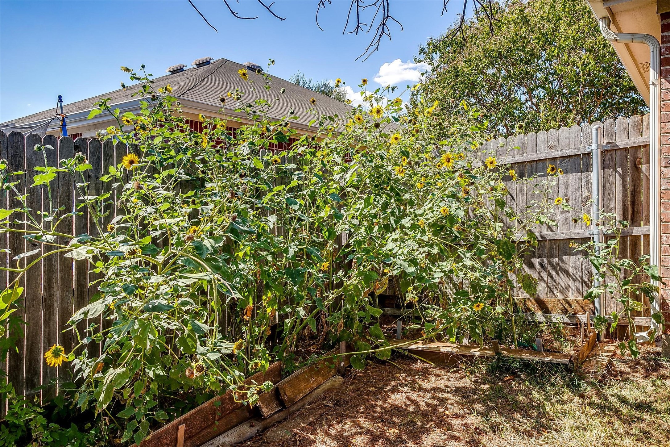 621 Condor Trail