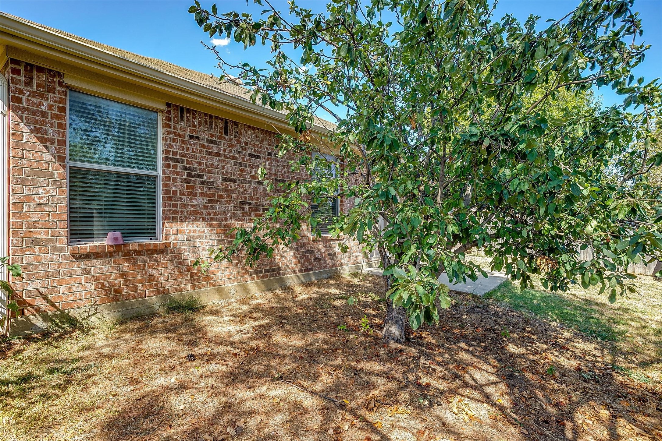 621 Condor Trail