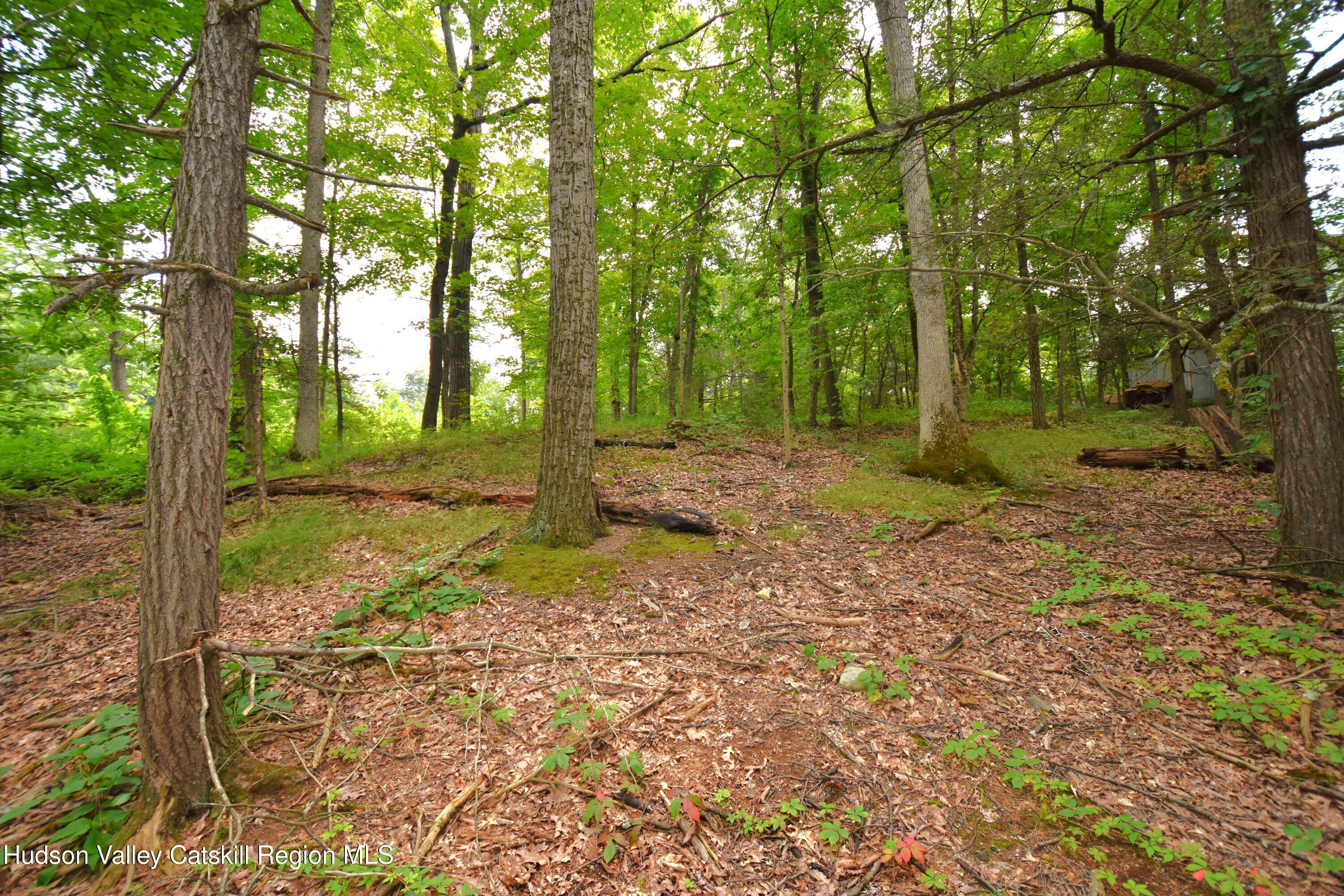Tbd Oak Lane