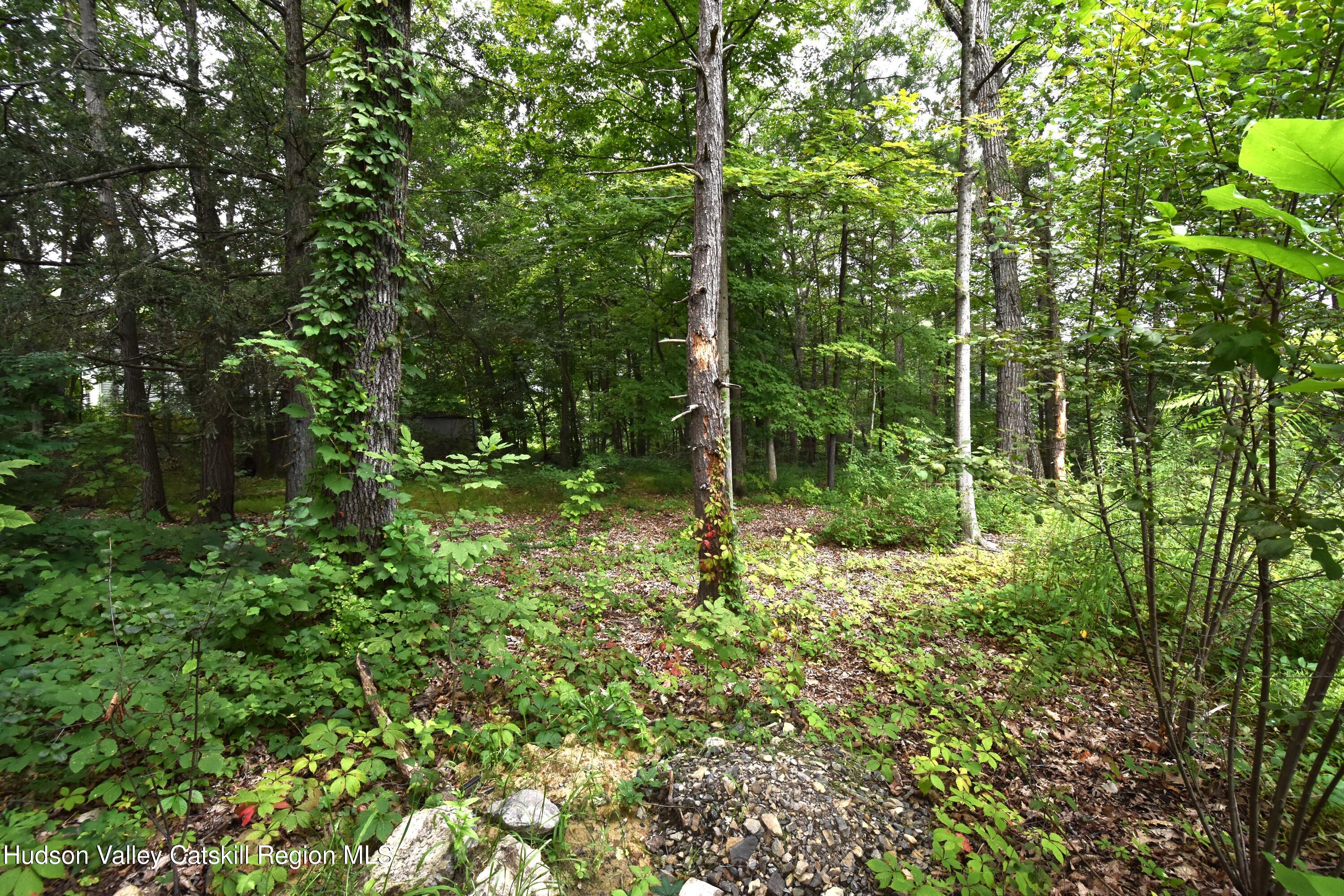 Tbd Oak Lane
