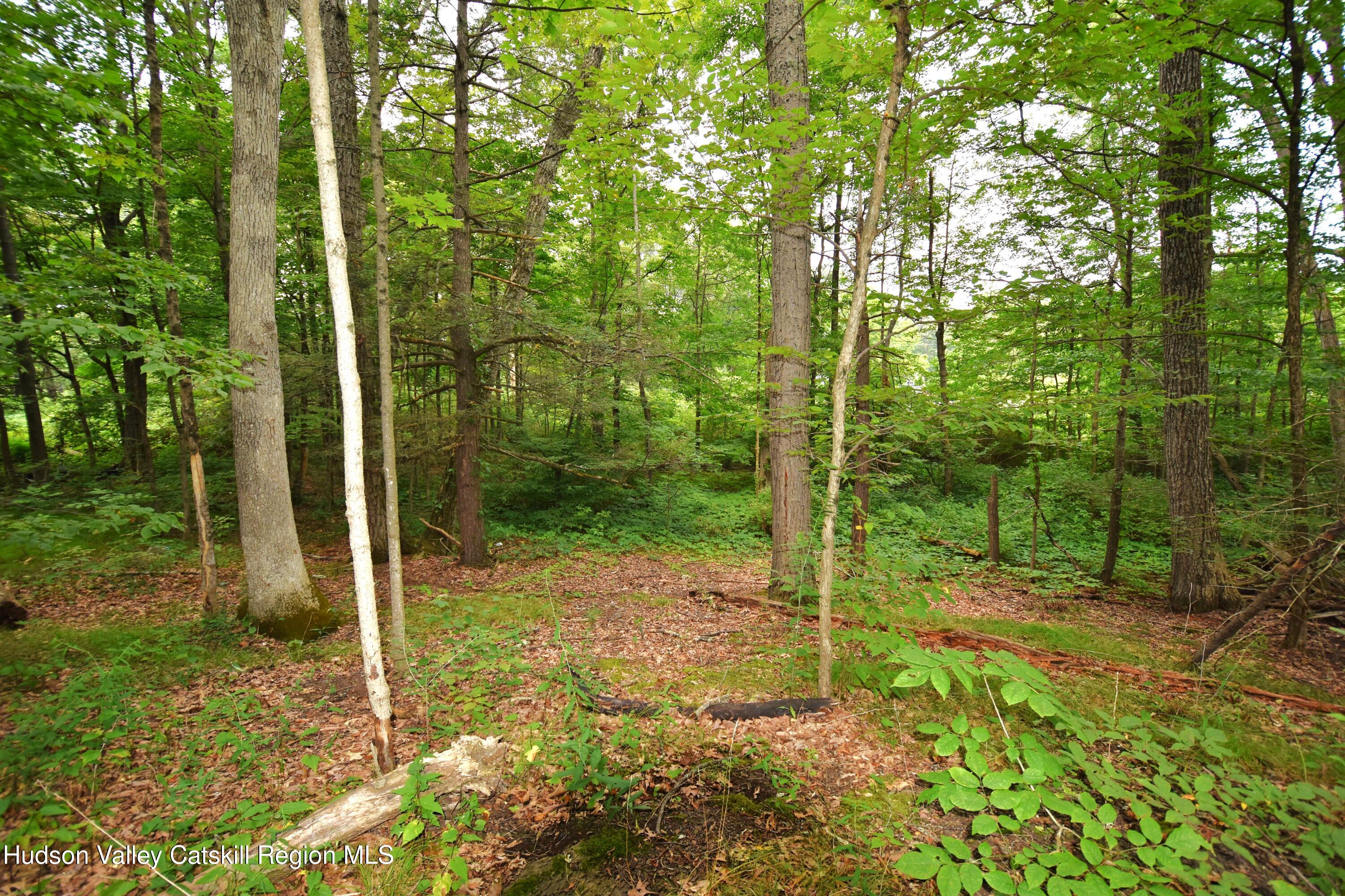 Tbd Oak Lane