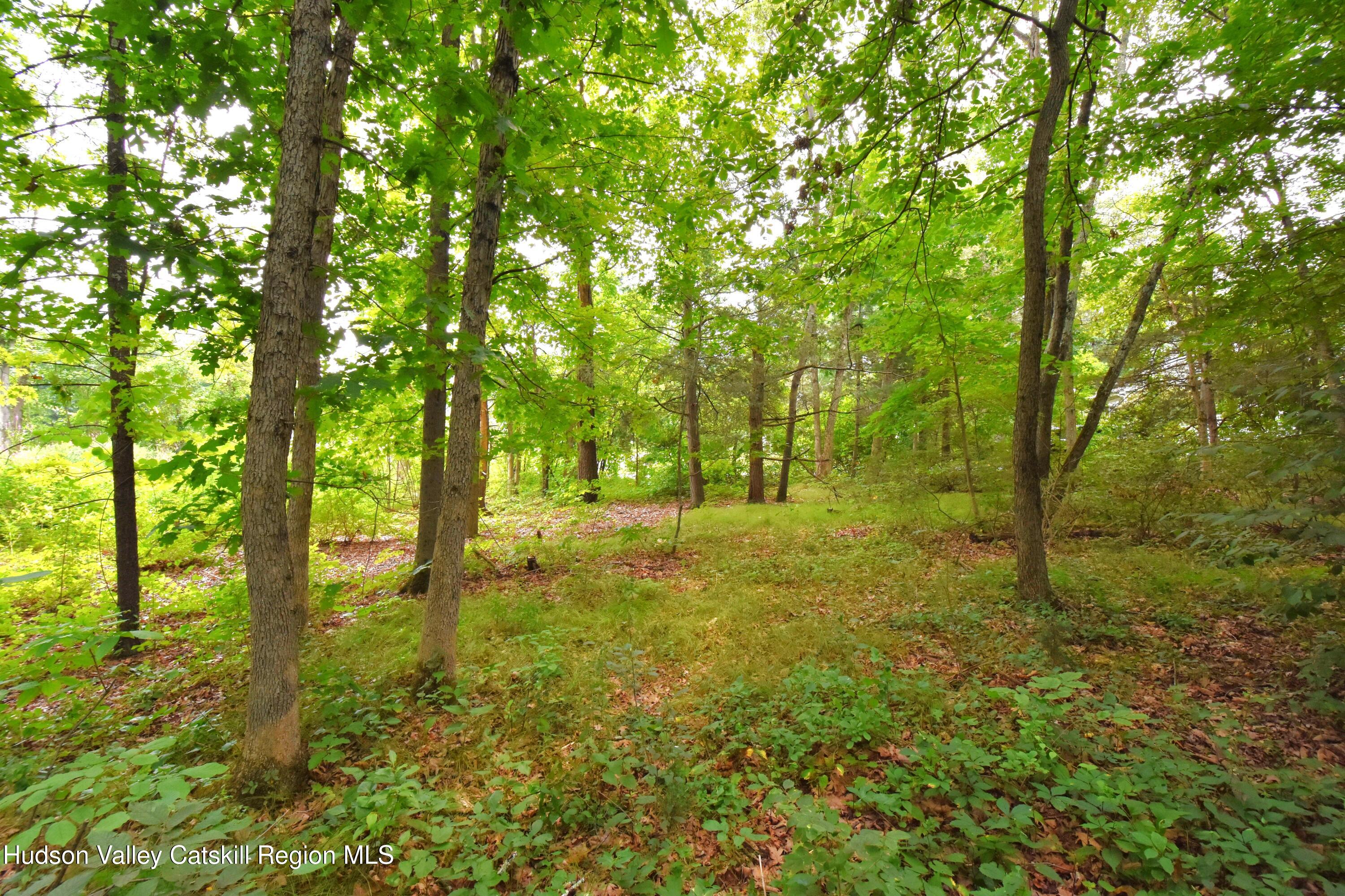 Tbd Oak Lane