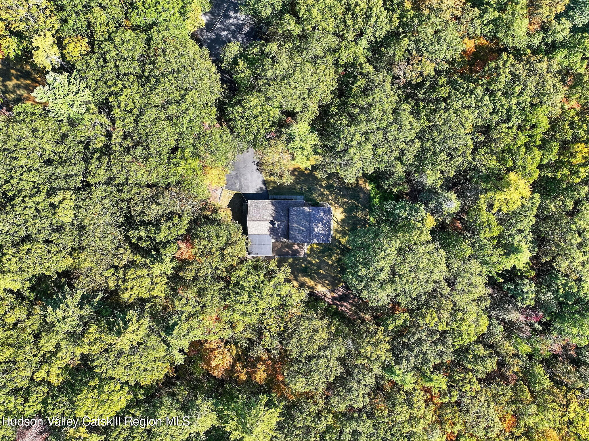 19 Livingston Ct. Court