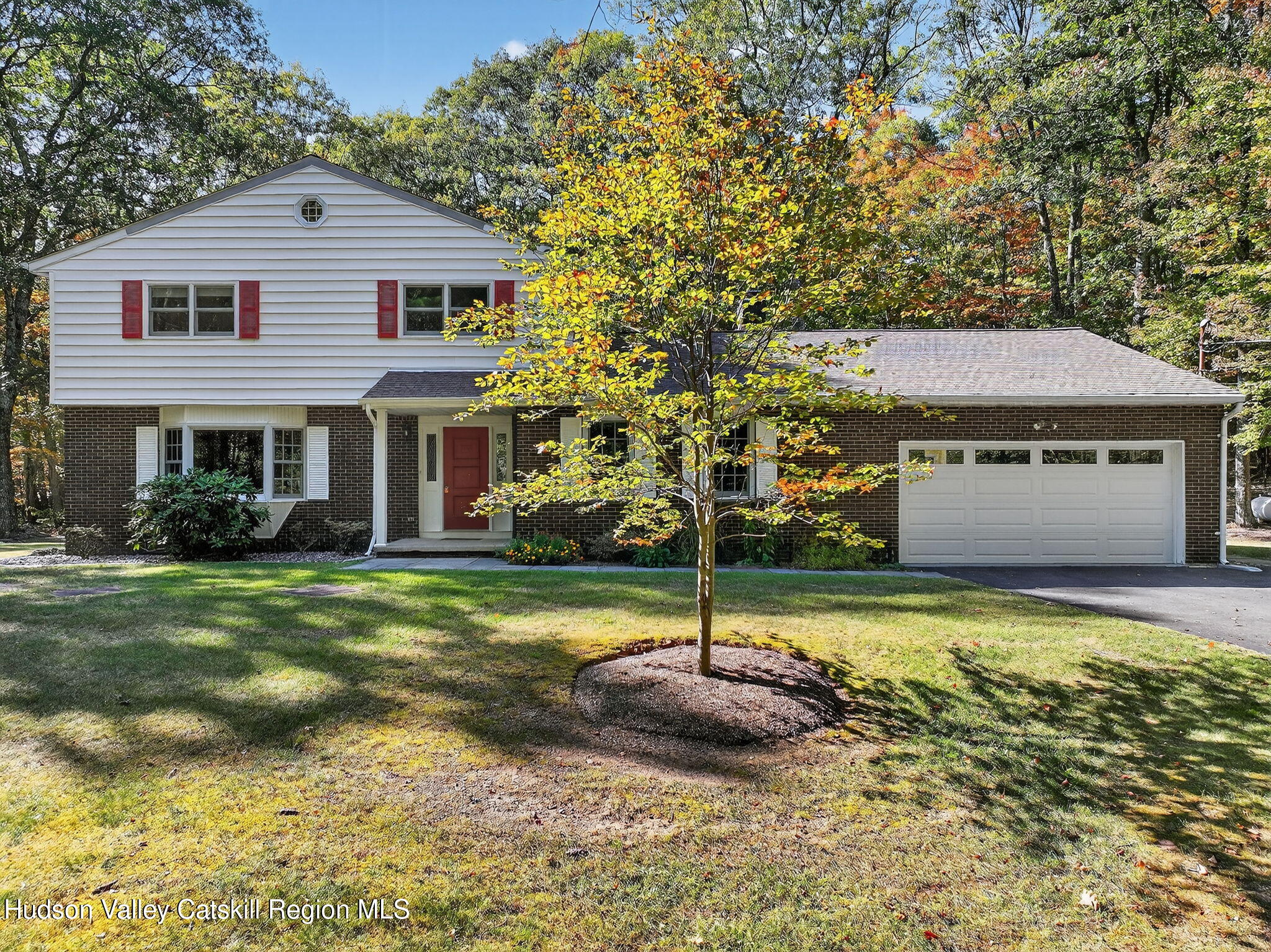 19 Livingston Ct. Court
