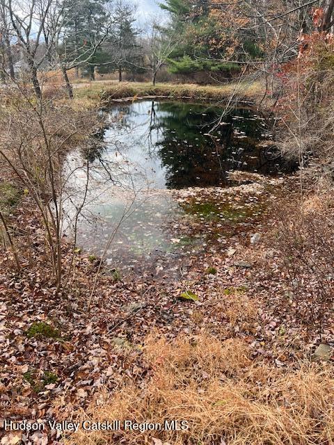 252 Upper Samsonville Road