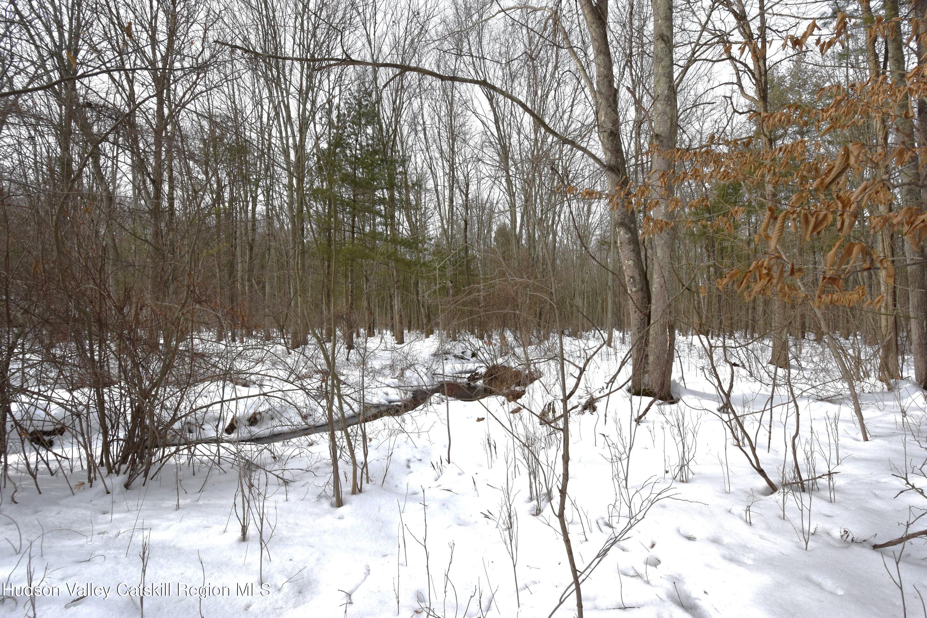 Tbd Silver Spur Road W