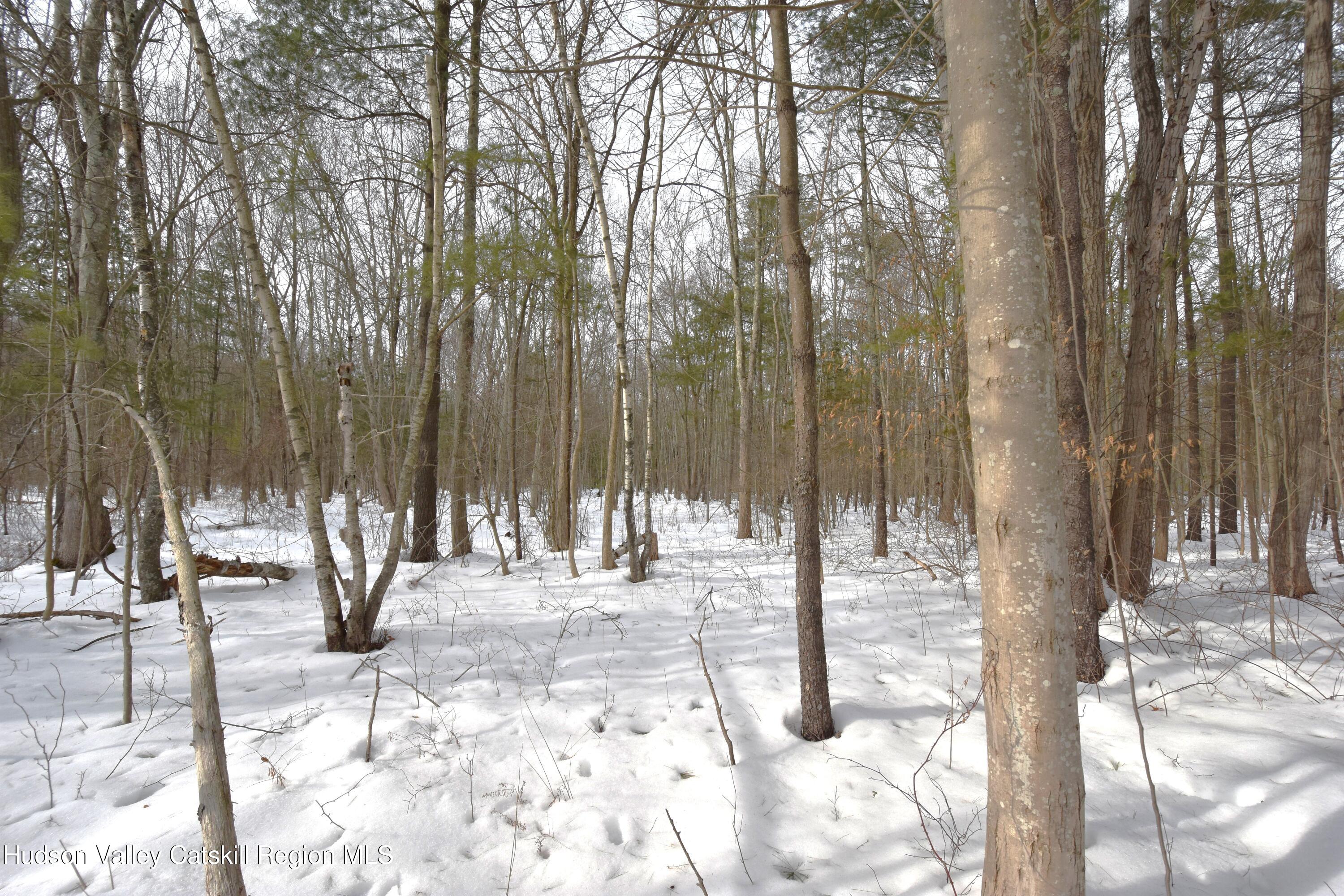 Tbd Silver Spur Road W