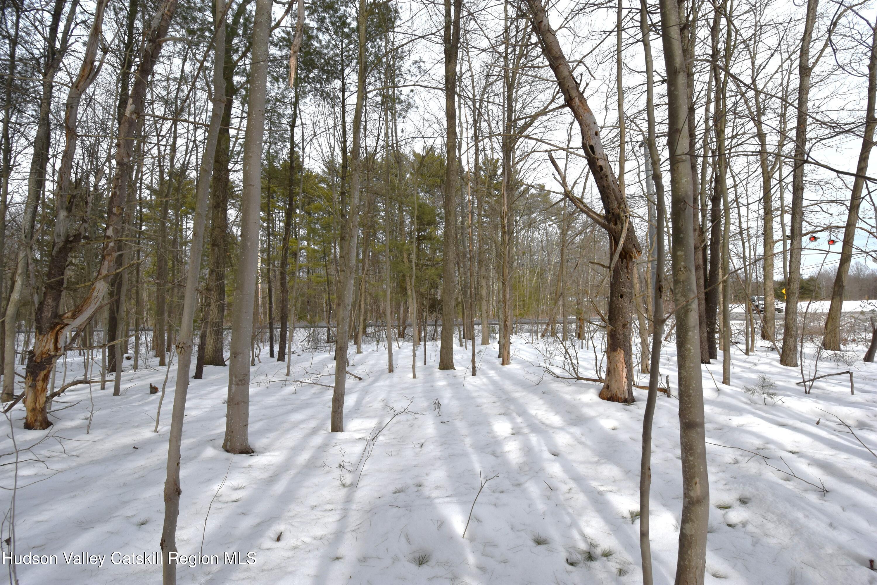 Tbd Silver Spur Road W