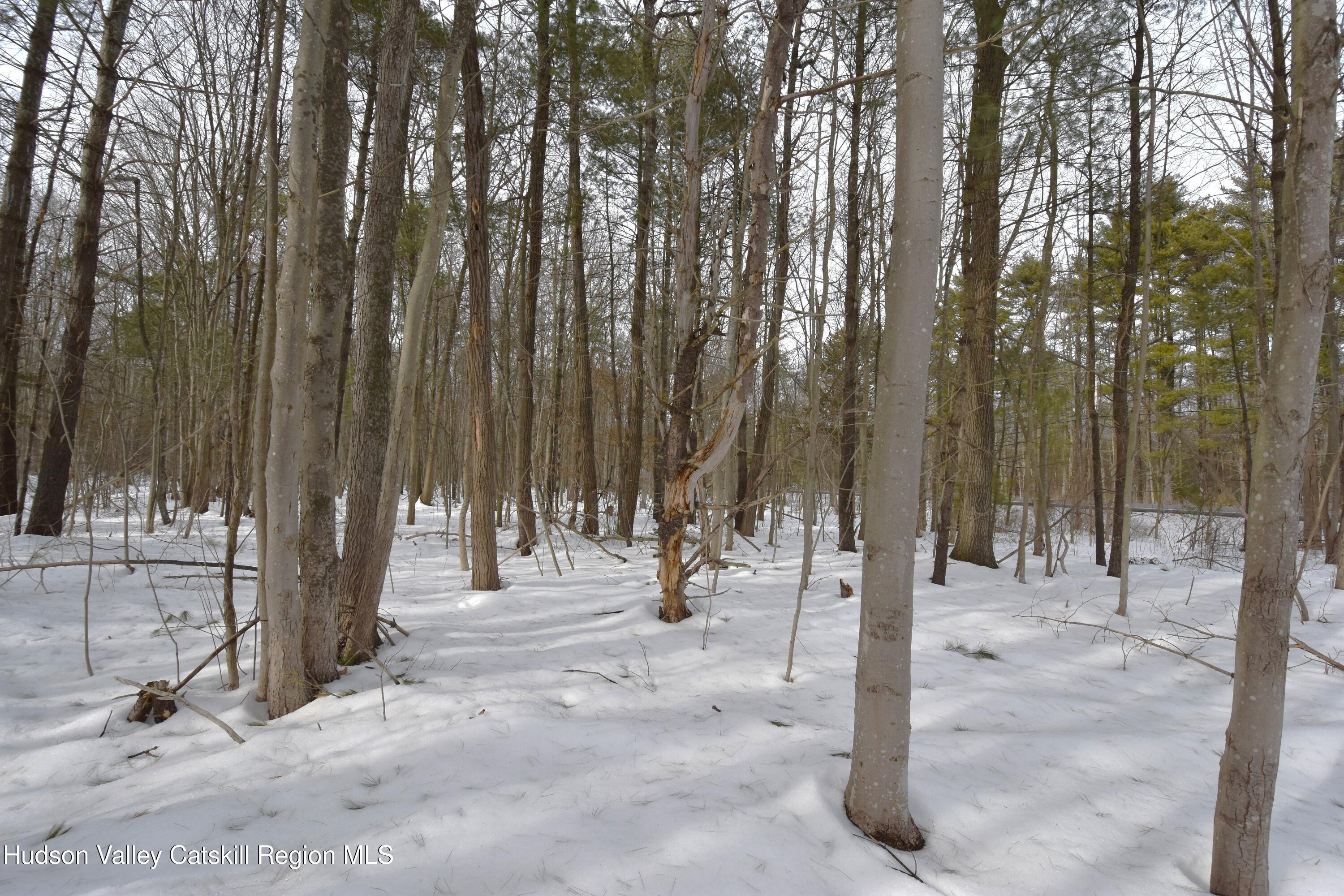 Tbd Silver Spur Road W