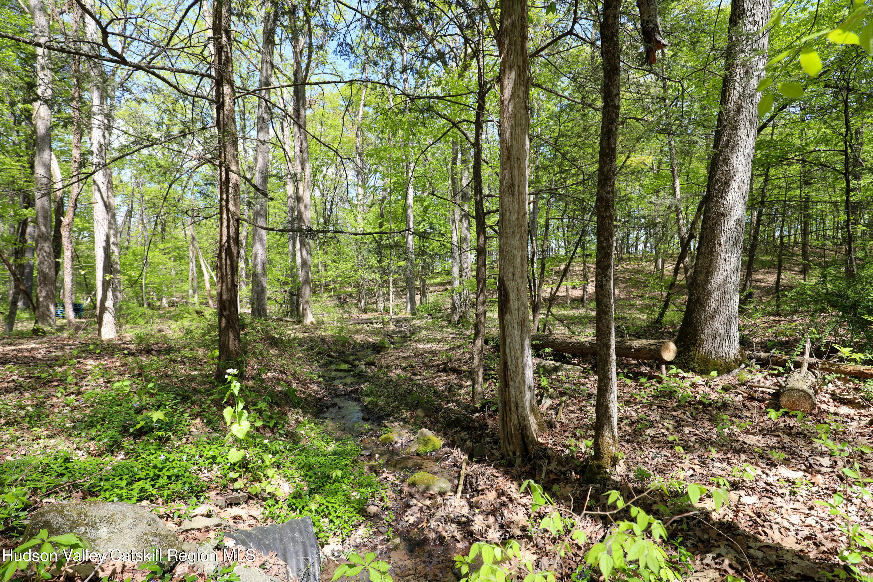 77 Ulster Landing Road