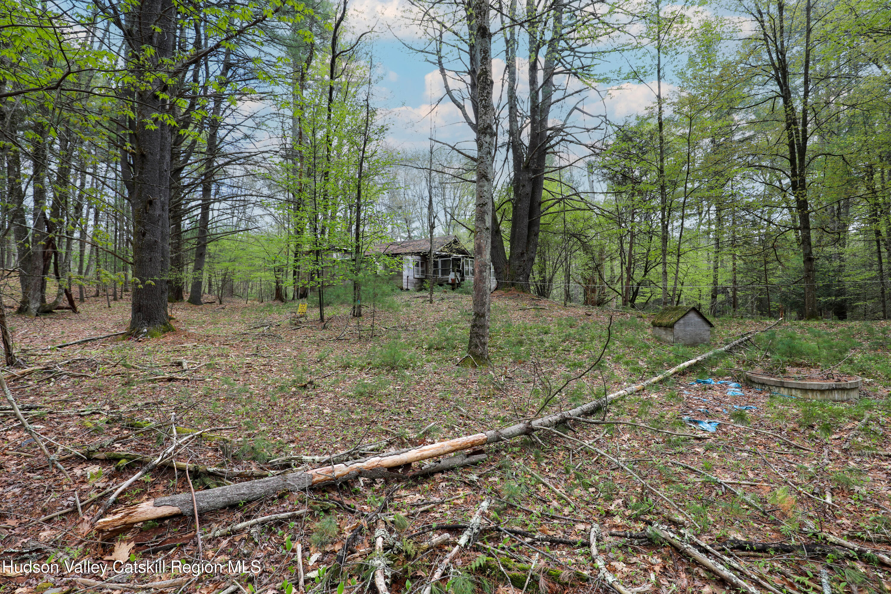 44 Pine Grove Road