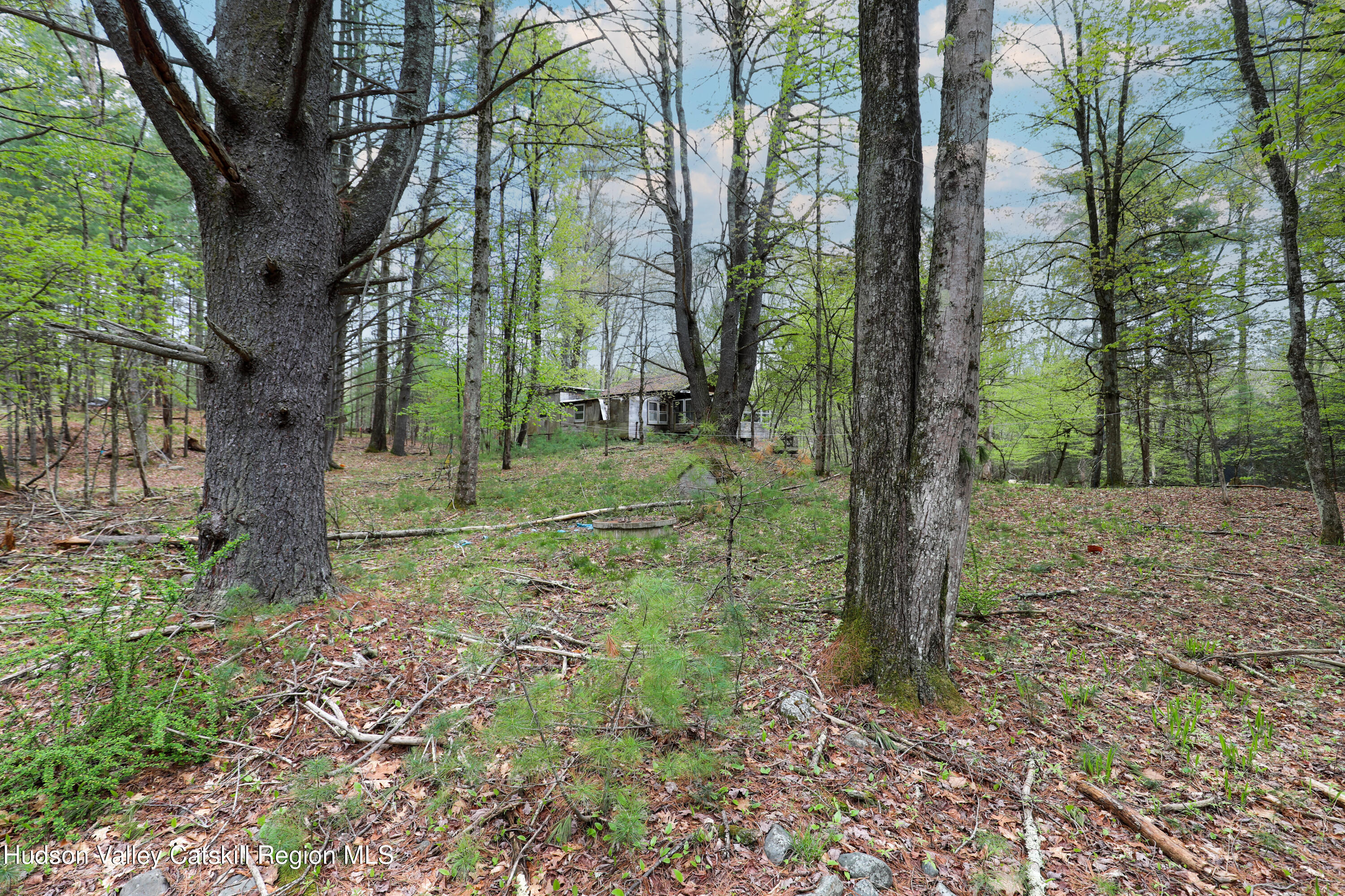 44 Pine Grove Road