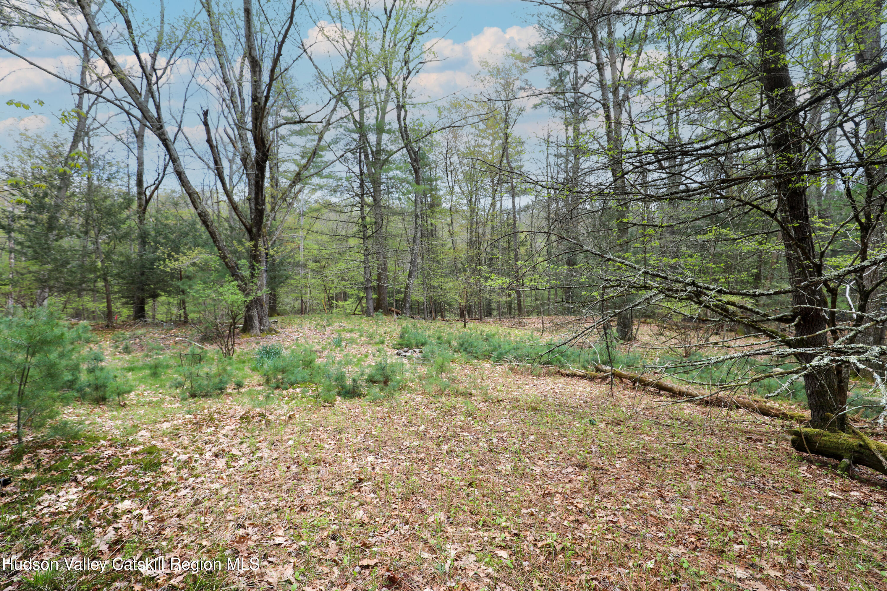 44 Pine Grove Road