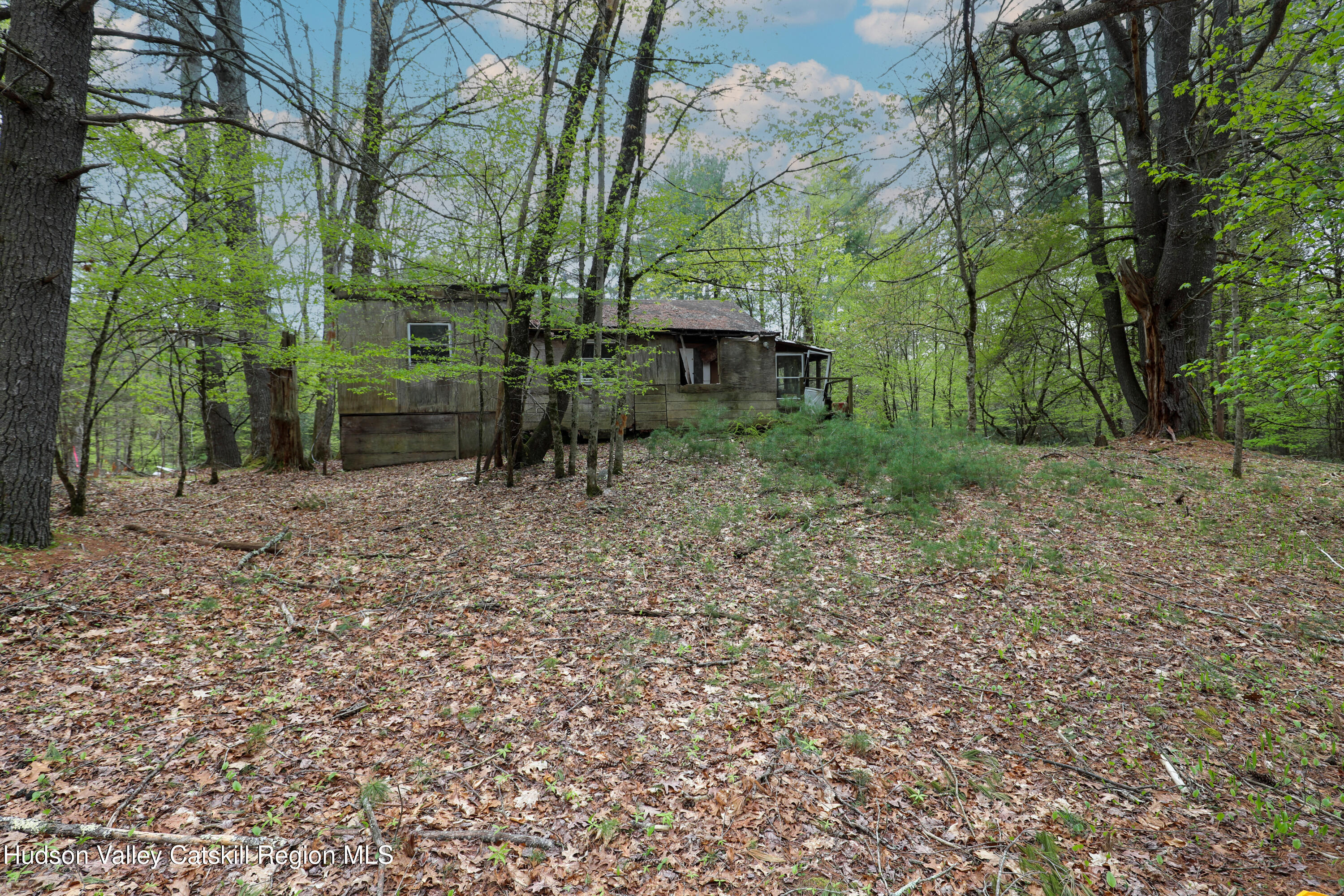 44 Pine Grove Road