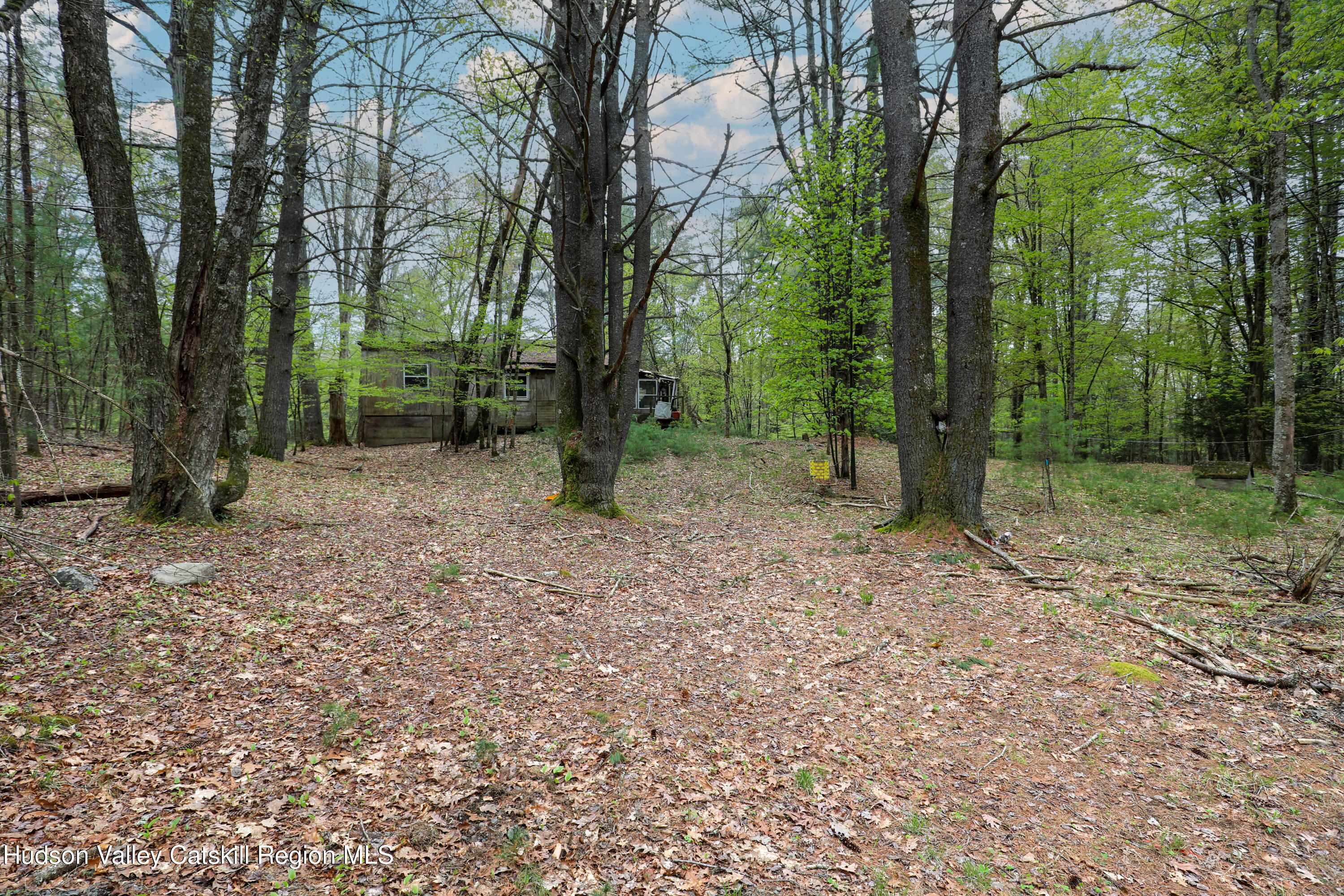 44 Pine Grove Road