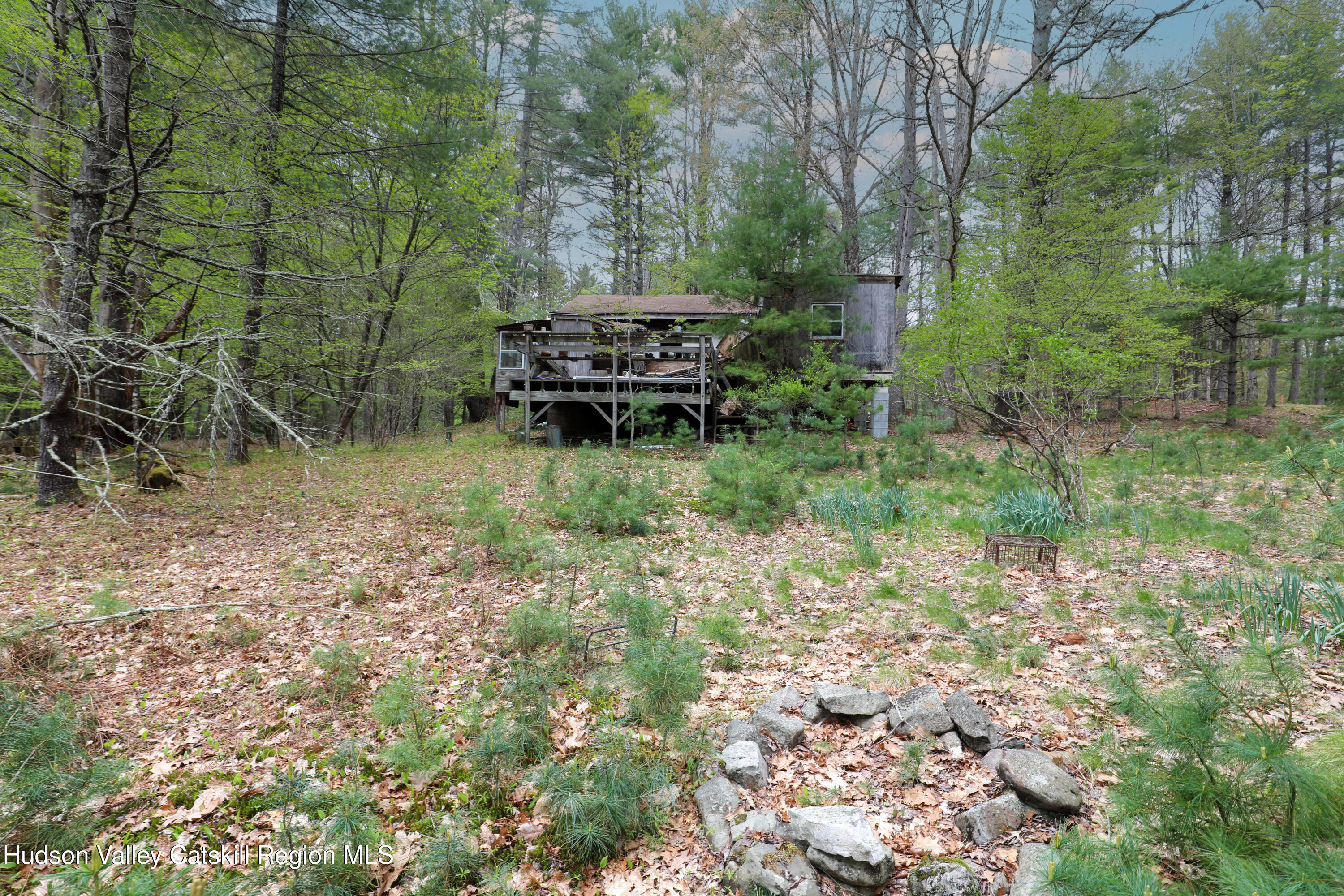 44 Pine Grove Road