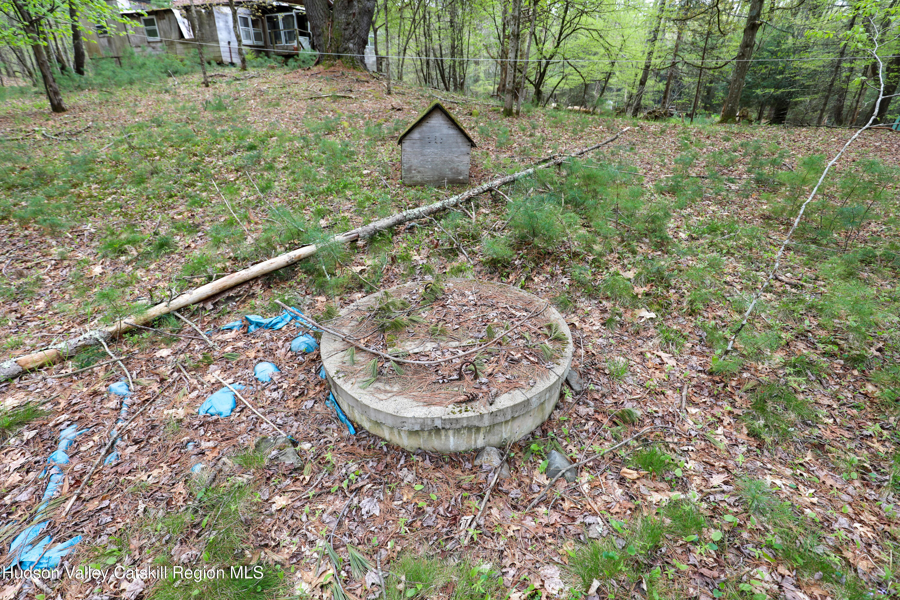 44 Pine Grove Road