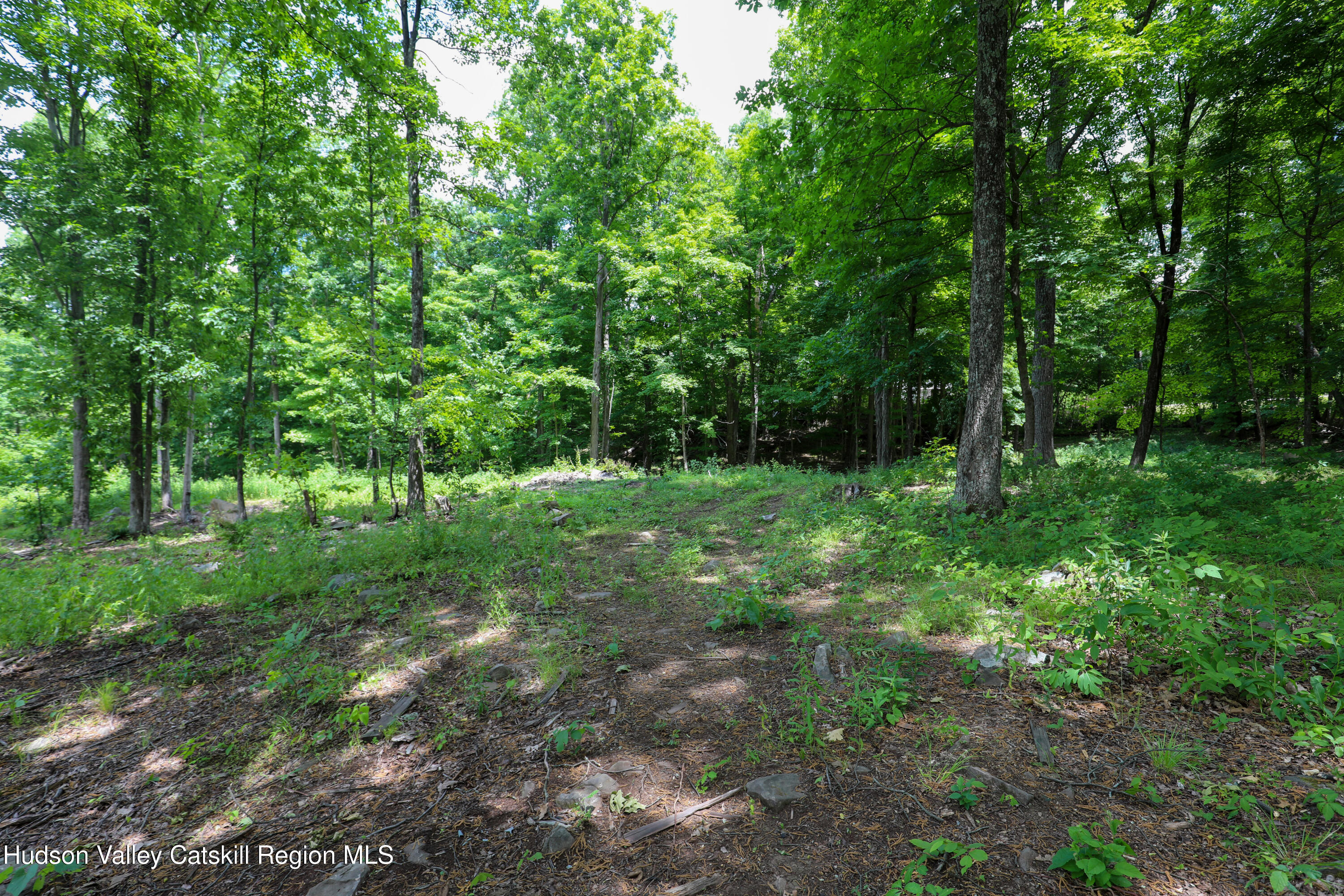 750 Cow Hough Road