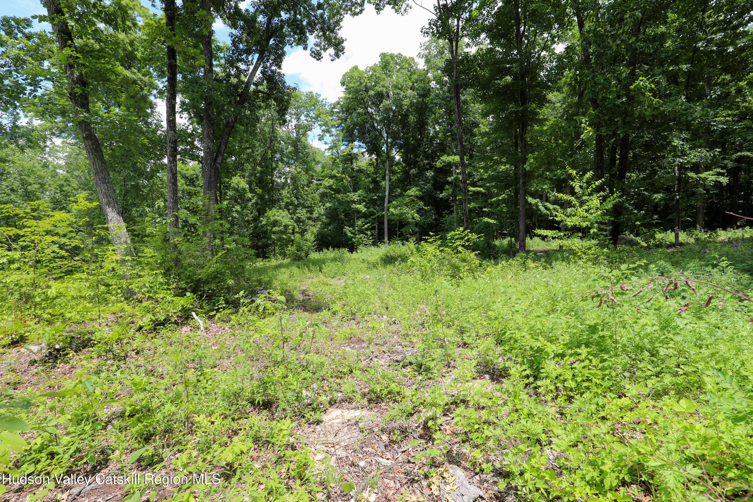 750 Cow Hough Road